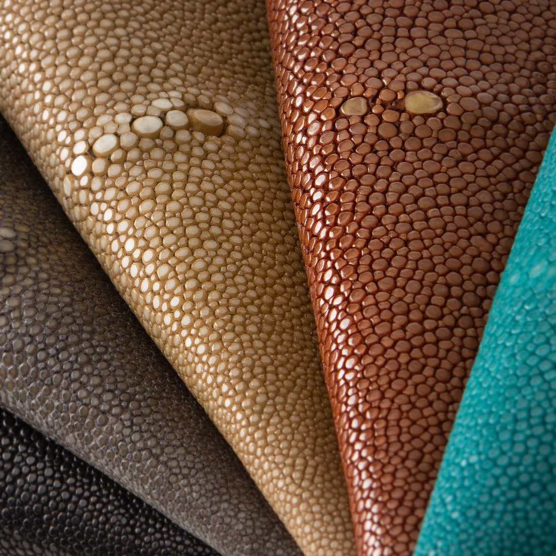 AKNAS Galuchat Shagreen Stingray Leather